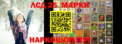 прущие грибы Балашиха