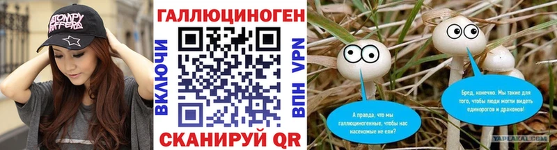 Псилоцибиновые грибы мицелий Аргун