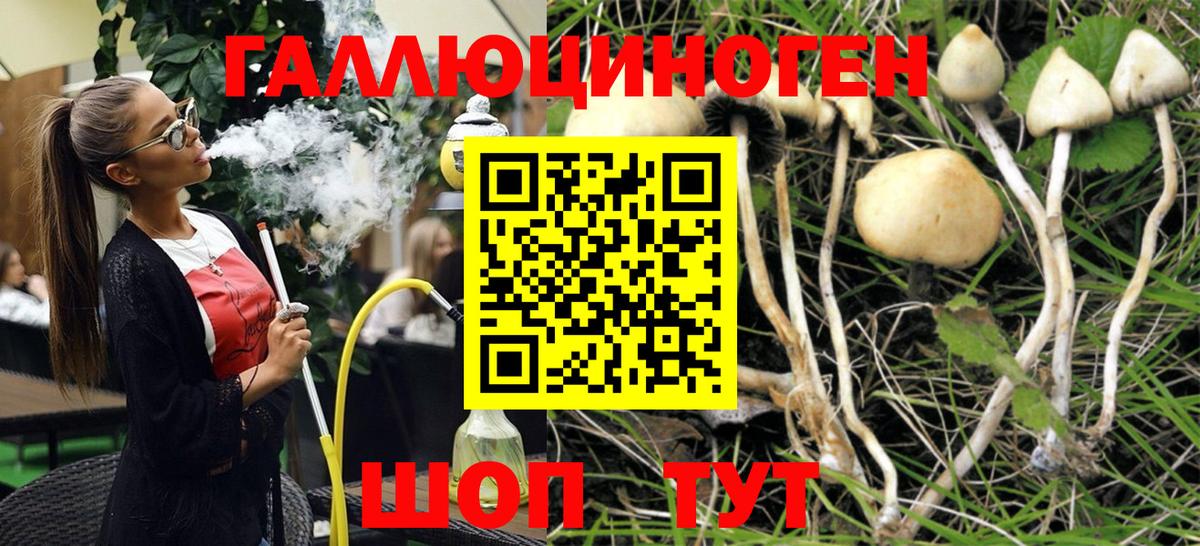 Псилоцибиновые грибы мухоморы Аргун