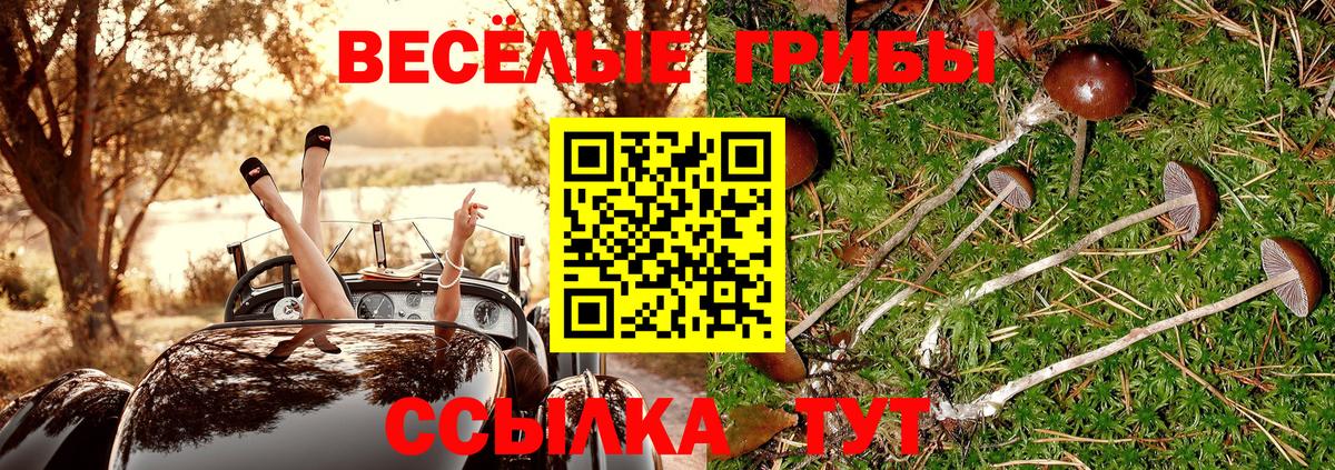 Аргун  Галлюциногенные грибы ЛСД  Вход с VPN  Галлюциногенные грибы Cubensis 