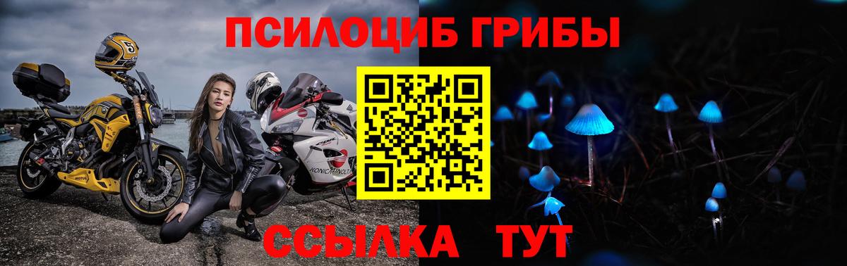 даркнет сайт  Псилоцибиновые грибы Magic Shrooms  Аргун  Галлюциногенные грибы Magic Shrooms 