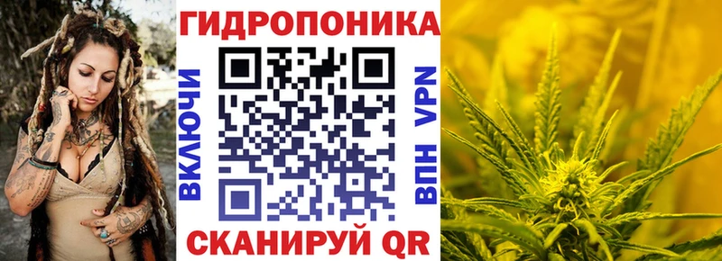 купить наркотики цена  Аргун  darknet официальный сайт  Шишки марихуана ГИДРОПОН 